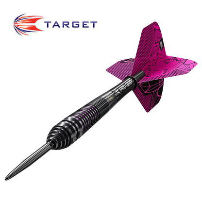 Target Lorraine Winstanley Gen2 24 gram Swiss Point Steel Tip Darts