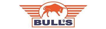 Bulls Darts